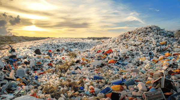 No Single Use Plastic