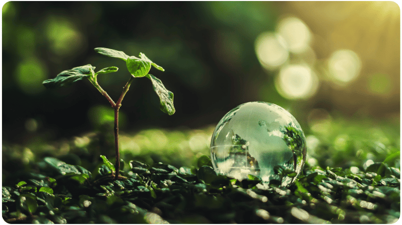   Drive Sustainability