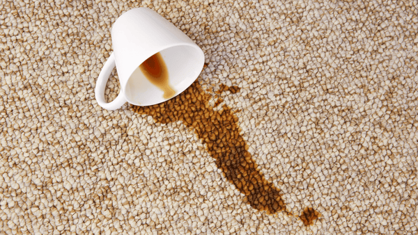 Extended Carpet Life