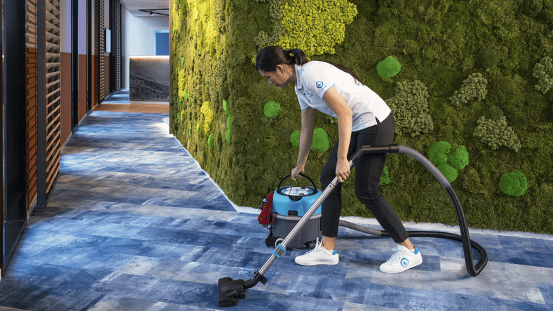 Made for Daytime Cleaning