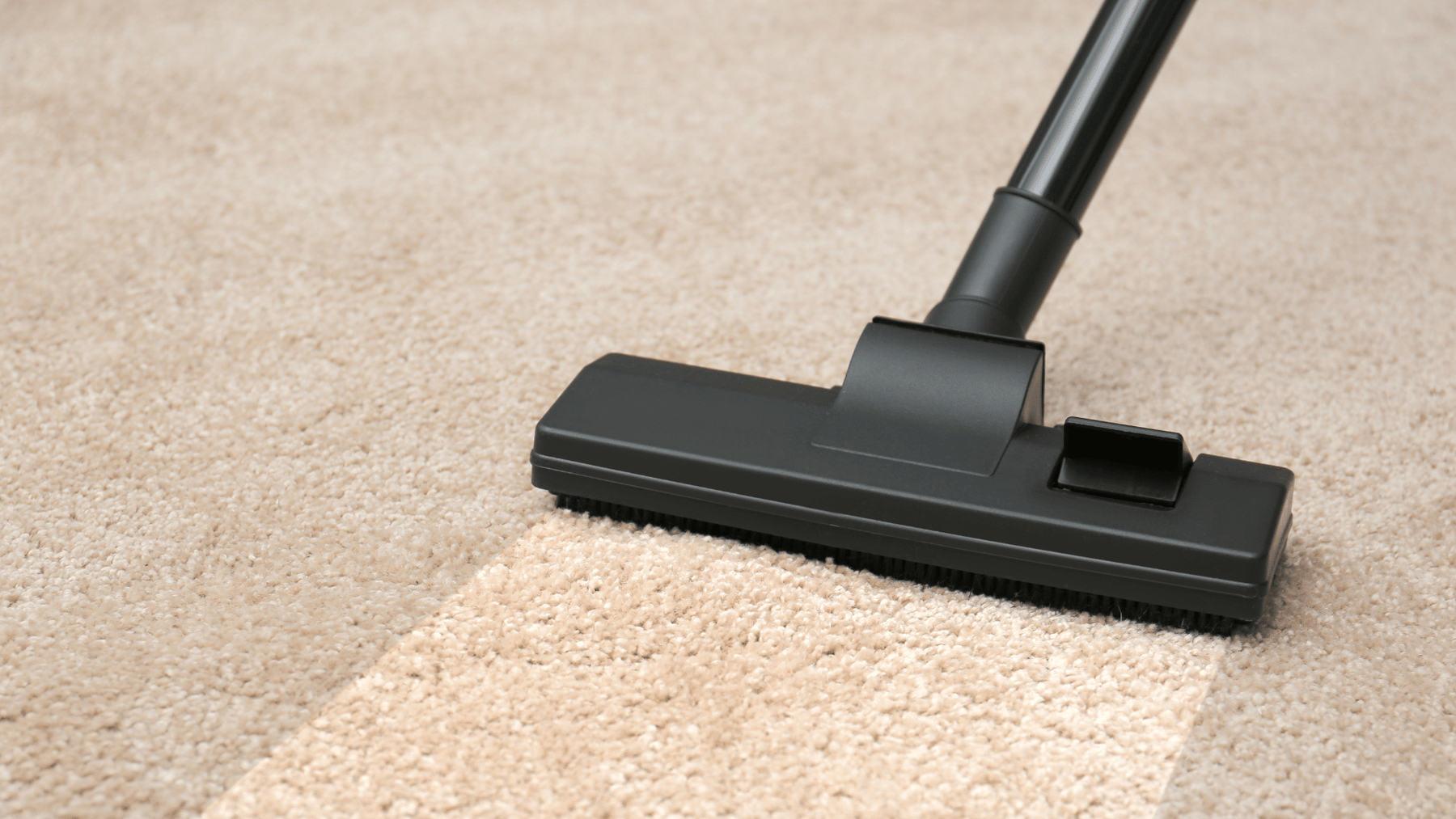 Professional Cleaning Across Every Environment