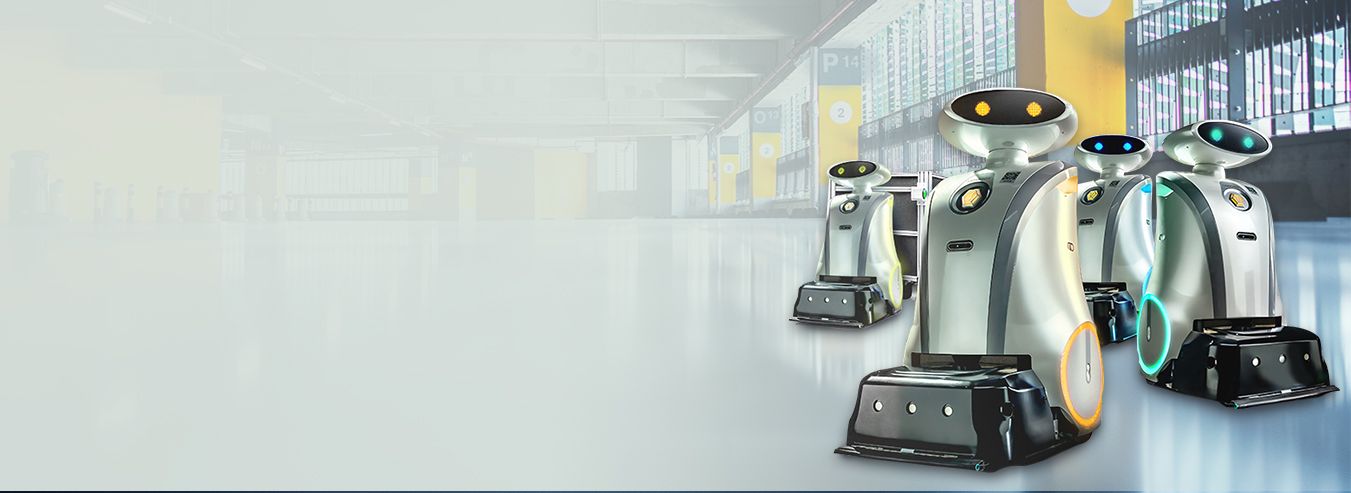 LionsBot Cleaning Robots